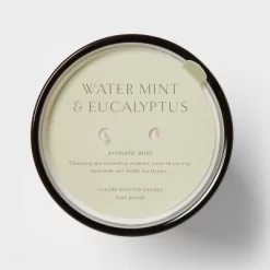 Colored Vase Glass With Dustcover Watermint And Eucalyptus Candle Green - Threshold™ -Home Decor Outlet Store GUEST 138a925b cebc 4734 877a 32f650153977