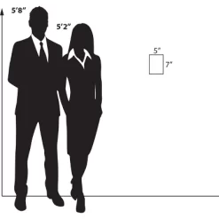 Azar Displays Clear Acrylic Wall Artwork And Photo Frame With Tape 5" W X 7" H Portrait / Vertical, 2-Pack -Home Decor Outlet Store GUEST 181ee729 38b9 45e4 8c24 f60f585a10f2