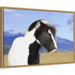 23" X 16" Icelandic Horse By Peter Langer Danita Delimont Framed Canvas Wall Art - Amanti Art