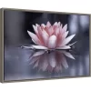 23" X 16" Padmasana Lotus Flower By Fabien Bravin Framed Canvas Wall Art - Amanti Art