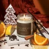 Sweet Water Decor Gingerbread And Spice 9oz Clear Jar Soy Candle