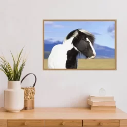 23" X 16" Icelandic Horse By Peter Langer Danita Delimont Framed Canvas Wall Art - Amanti Art -Home Decor Outlet Store GUEST d946bf7a e7f0 43e4 9432 89ce78f36e5c