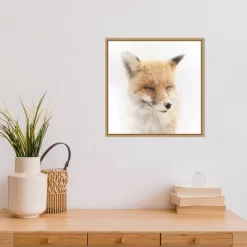 16" X 16" Satisfied Fox By Doris Reindl Framed Canvas Wall Art - Amanti Art -Home Decor Outlet Store GUEST e1cfc5b6 ba1f 45aa a68c a58112ae41ac