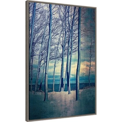 22" X 33" Winter Trees At Lake Michigan By Michelle Calkins Framed Canvas Wall Art Gray Wash - Amanti Art 1 22" X 33" Winter Trees At Lake Michigan By Michelle Calkins Framed Canvas Wall Art Gray Wash - Amanti Art