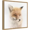 16" X 16" Satisfied Fox By Doris Reindl Framed Canvas Wall Art - Amanti Art